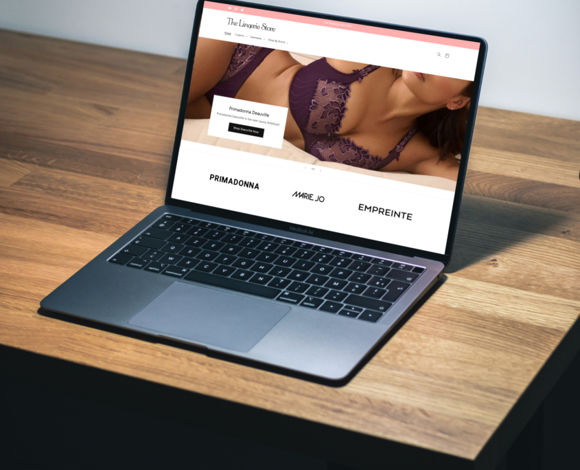 the-lingerie-store